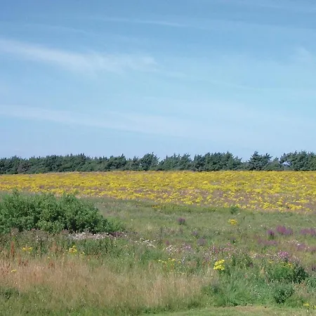 Holiday Toftekrogen